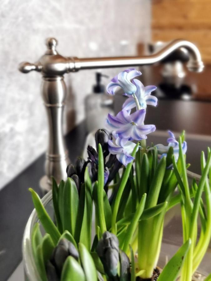 Apartamento Siedlisko Kościelisko Exterior foto